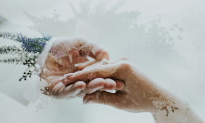 My In-Laws Disowned Us For Our Choices—Five Years Later, They Came Back Crying