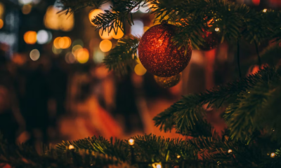 I Arrived At My Parents’ For Christmas And Discovered My Sister Forced Them To Live In The Garage