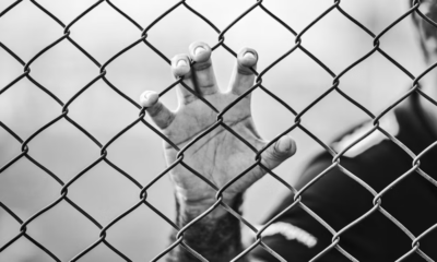 My Parents Stole My Car And $80k While My Husband Was Deployed—Until Grandpa Intervened