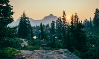 My Son Got Lost In The Woods—What He Told Me When I Found Him Led To A Shocking Discovery