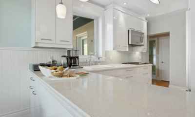 She Found A Padlock On The Basement Door And Heard Scratching. What Was Inside Changed Everything