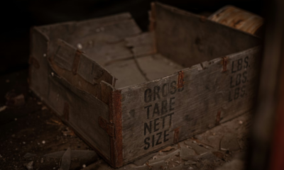 My Future MIL Handed Me A Filthy Old Box At Our Wedding — I Froze When I Looked Inside