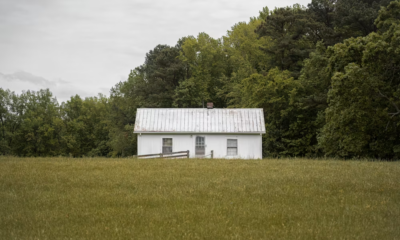 An Elderly Woman Covered Her Roof With Sharp Wooden Stakes All Summer—When Winter Hit