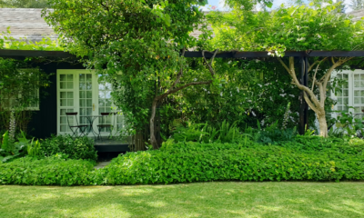 My MIL Took My Son From Kindergarten To Cut His Hair—My Husband’s Response Shocked Her