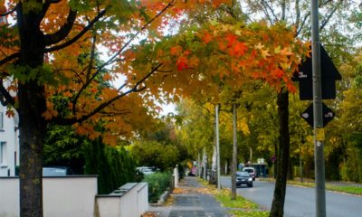 My 59-Year-Old Neighbor Knocked At Midnight — 20 Minutes Later, I Was Holding Her 21-Year Secret