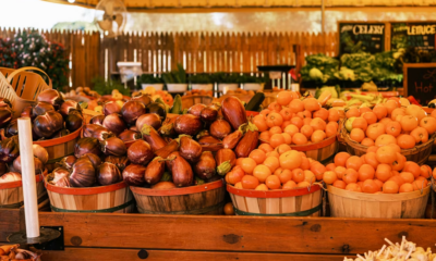 His Security Camera Caught A Mother Stealing Eggs—Instead Of Calling The Police, He Did Something