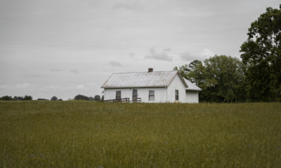 The Holes In Her Grandmother's Yard Exposed A Dark Secret About Family Discipline That Shocked Everyone