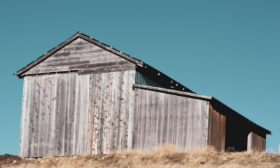 I Only Have Six Months To Live—Marry Me And Your Family Will Never Want For Money Again