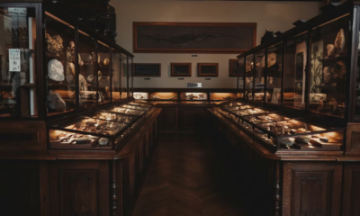 My Ex-Husband Brought His Mistress Into My Store — Then His Card Got Declined