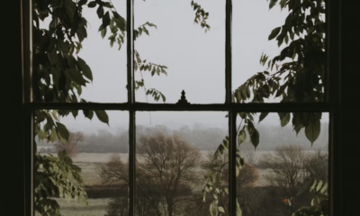 I Came Back From Vacation — And My Neighbor Had Blocked My Windows