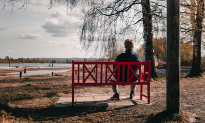 After 60 Years Together, I Returned Alone — Someone Was Waiting On Our Bench