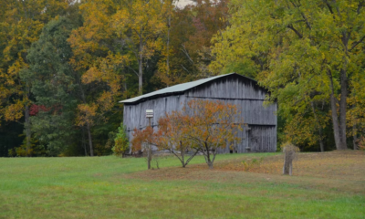 My Husband Banned Me From The Farm—After His Death, I Finally Went Inside