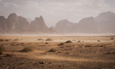 A Pregnant Widow Found A Dying Stranger In The Desert—Then He Woke Up