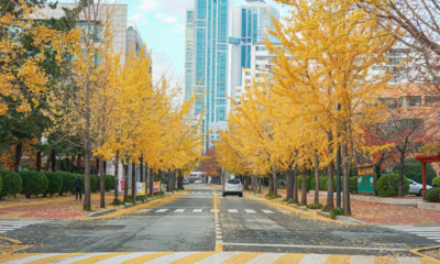 Evicted At 84, She Built A Hidden Home In A Mountain Tunnel—Then Everything Changed