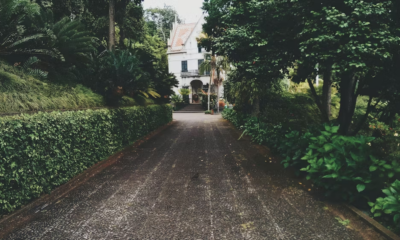 My Father Called Me A “Parasite”—Then Ten Days Later, My Sister Texted