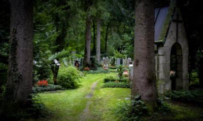 My Father Threw My Grandmother's Savings Book Into The Open Grave and Said, "Let It Stay Buried."