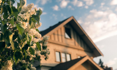 My 78-Year-Old Neighbor Gave Me A Key—What I Found In Her Shed Left Me Shaking