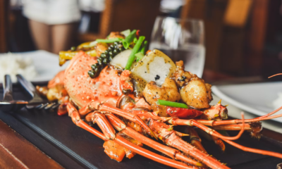 My Family Ordered $4,386 Of Lobster After Three Years Of Silence—Then Handed Me The Bill