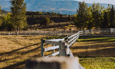 My Son’s Wife Tried To Sell My Ranch—Then The Family Trust Changed Everything