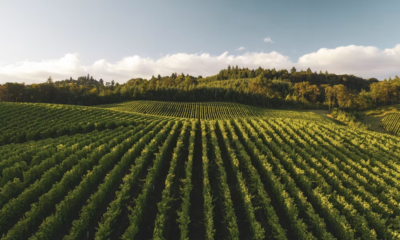 The Old Farmer Let Three Strangers Help Save His Dying Farm—Then Everything Changed