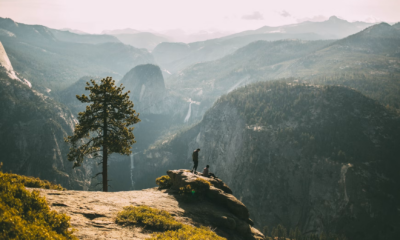 I Took My Son On A Short Hike — When We Returned, Our Family Had Vanished Without A Trace