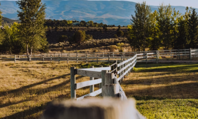 I Found Strangers Throwing A Birthday Party On My Ranch