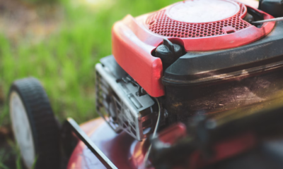 I Hired A Man To Mow My Daughter’s Lawn—Then He Heard Crying Beneath The House