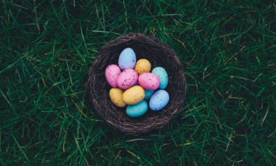 Aunt Carol’s Easter Envelopes Exposed A Family Secret No One Was Ready To Hear