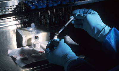 My Brother Took A DNA Test To Prove I Didn’t Belong—Then He Discovered The Truth