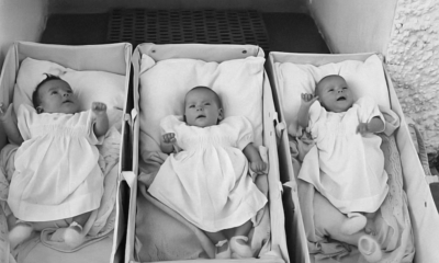 My Daughter Abandoned Her Newborn Triplets — Twenty Years Later, She Returned To A Welcome She Never Expected
