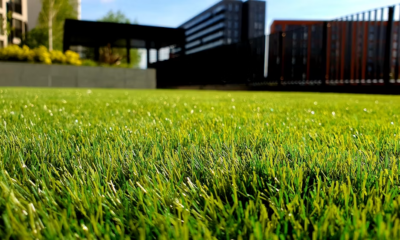 My Rude New Neighbors Kept Parking On My Perfect Lawn — They Never Expected What I Did Next