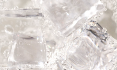 Someone Left A Giant Block Of Ice On My Lawn—What Melted Out Changed Everything