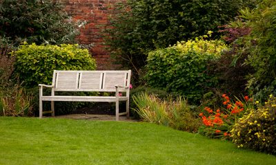 I Came Home From Canada After 4 Years — What I Found My Wife Doing In The Backyard Broke Me