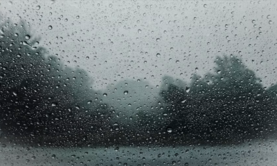 My MIL Left Me On The Road During My First Visit — “We Don’t Take Strangers,” She Said