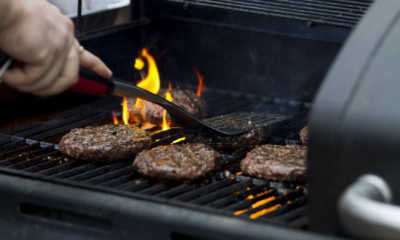 At My July Fourth Cookout, My DIL Dumped My Meal Into The Dog’s Bowl—Then I Said