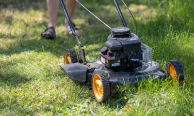 I Hired A Teenager To Mow My Lawn All Summer—Then I Learned Why He Chose My Yard
