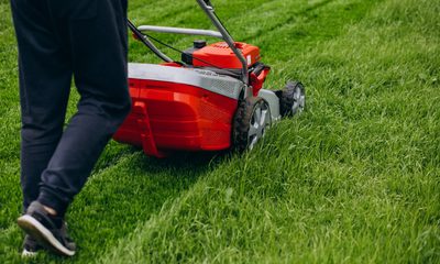 My 12-Year-Old Mowed Lawns For Elderly Neighbors All Summer — Then Two Patrol Cars Arrived