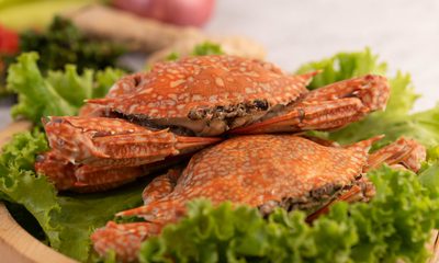 My MIL Served Her Other DIL Premium Crab — I Got An Empty Plate