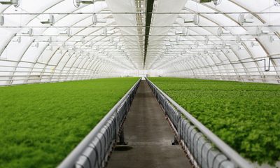 Everyone Warned Me About The “Bad Kid” — Then He Wrote One Sign For My Greenhouse