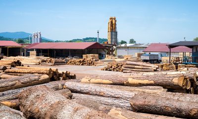 My FIL Called Me "The Outsider" For 47 Years And Cut Me Out Of The Family Lumberyard. Then The Bank Called To Ask Why My Farm Was Still Holding It Up