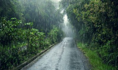 I Found My DIL And Grandkids Soaked In The Rain — My Son Had Kicked Them Out